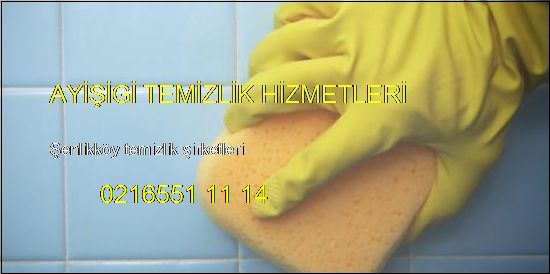  Şenlikköy Daire Temizlik Şirketleri 0216414 54 27 Şenlikköy Temizlik Şirketleri
