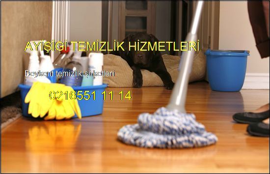  Beykent Daire Temizlik Şirketleri 0216414 54 27 Beykent Temizlik Şirketleri