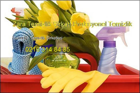  Soğanlık Dış Cephe Cam Temizliği Temizlik Şirketi 0216 314 84 85 Soğanlık Dış Cephe Cam Temizliği Temizlik Şirketi