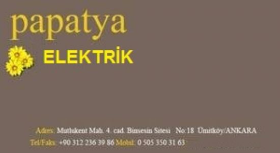  Elektrikçi Yaşamkent Tel : 2363986