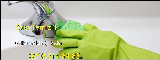  Birlik Evlere Temizlik Şirketi 0216 314 84 85 Birlik Temizlik Şirketleri