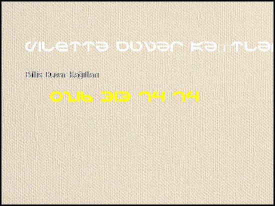  Bitlis İthal Duvar Kağıtları 0216 313 74 74 Viletta Duvar Kağıtları Bitlis Duvar Kağıtları