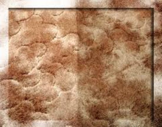 Samandıra Halı Yıkama Samandıra Halı Koltuk Yıkama Şirketi 0216 660 14 57 Azra Halı Ve Koltuk Yıkama Merkezi