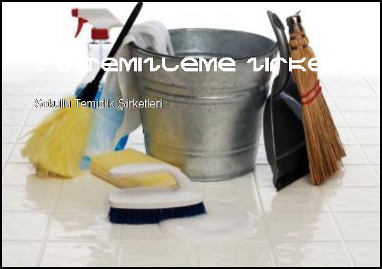 Sokullu Temizlik Şirketleri Yeniz Siteniz Açıldı  Ev Temizleme Şirketleri Sokullu Temizlik Şirketleri