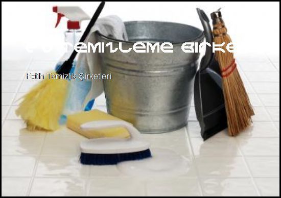 Fetih Temizlik Şirketleri Yeniz Siteniz Açıldı  Ev Temizleme Şirketleri Fetih Temizlik Şirketleri
