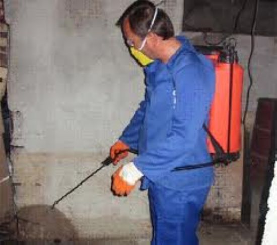  Kadıköy Haşere Temizlik Şirketleri 0216 414 54 27 Ayışığı Temizlik Şirketi İstanbul Temizlik Şirketleri