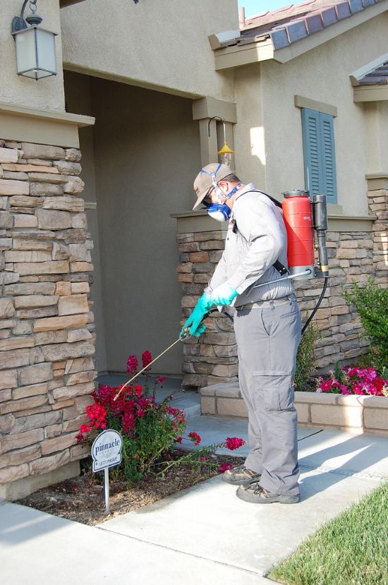  Kurtköy Özel Temizlik İşleri Şirketi 0216 414 54 27 Bilpak Temizlik Şirketi İstanbul Temizlik Şirketleri