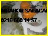 İmrahor Salacak Halı Yıkama Yıkamacı Hesaplı Hızlı 0216 660 14 57 Azra Halı Yıkama İmrahor Salacak Halı Yıkama