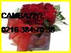  Cambaziye Çiçek Siparişi 0216 384 70 38 Star Uluslararası Çiçekçilik Cambaziye Çiçekçi