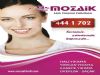  Mozaik Halı Yıkama Fabrikası 444 1 702