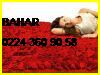  Bahar Halı Yıkama 0224 360 90 58 Gül Halı Yıkama Bahar Halı Yıkama