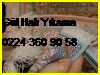  İnegöl Halı Yıkama Fiyatları 0224 360 90 58 Bursa Gül Halı Yıkama İnegöl
