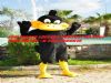  Mardin Kiralık Maskot Kostüm 0535 490 00 15 Kiralık Çizgi Film Kostümleri Mardin