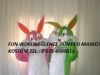  Kuzey Kıbrıs Türk Cumhuriyeti ( Kktc ) Kiralık Maskot Kostüm 0535 490 00 15 Kiralık Çizgi Film Kostümleri Kuzey Kıbrıs Türk Cumhuriyeti ( Kktc )