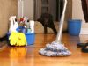  Kazımkarabekir  Temizlik Şirketleri İnşaat Sonrası, Ev, Daire, Cam, Ofis, Okul Temizliği Tutku Temizlik  Kazımkarabekir