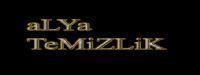  İzmir Alya Temizlik Şirketi Logosu