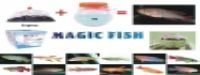  Magıc Fish, Lucky Fish, Sihirli Balık Sizlerle Logosu