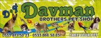  Davman Brothers Pet Shop Logosu