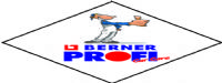  Berner Profi Car Care Logosu