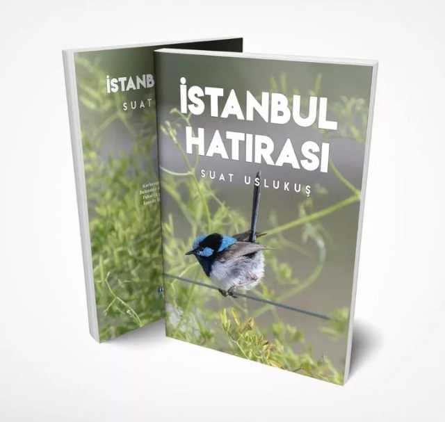 İstanbul Hatırası Adlı Şiir Kitabım Yayına Çıkmıştır