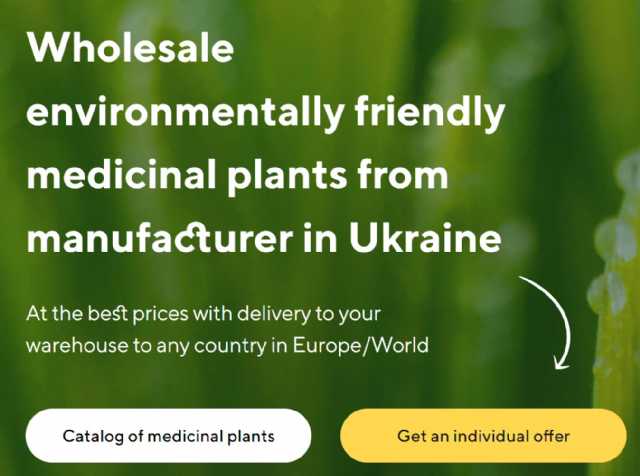 Şifalı Bitkilerin Üreticiden En Uygun Fiyatlarla Toptan Satışı