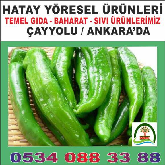 yöresel hatay antakya samandağı el yapımı ev