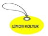  Zeytinburnu Koltuk Döşeme Ve Koltuk Tamir Atölyesi Limon Koltuk