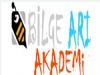  Bilge Arı Akademi Açıköğretim Fakültesi Kurs Kayıtları Başlıyor