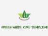  Green White Kuru Temizleme Üütü Terzi Boyama Yorgan Battaniye Perde