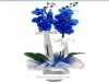  2 Adet Mavi Orkide Saksıda, Sipariş Vermek İçin Web Sitemizi Ziyaret Ediniz