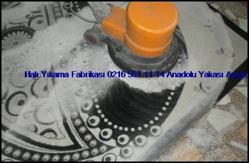  Kayışdağı Halı Yıkama Fabrikası 0216 660 14 57 Anadolu Yakası Azra Halı Yıkama Şirketi Kayışdağı