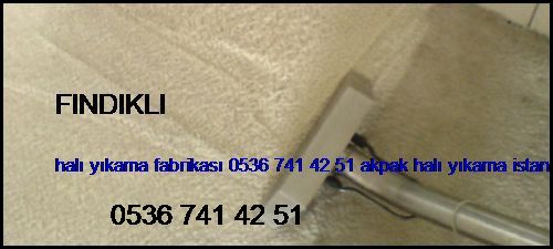  Fındıklı Halı Yıkama Fabrikası 0536 741 42 51 Akpak Halı Yıkama İstanbul Halı Yıkama Fındıklı