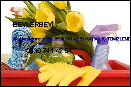  Beylerbeyi Okul Temizleme Şirketi 0536 741 42 51 Akpak İş Temizleme Hizmetleri İstanbul Temizlik Şirketi Beylerbeyi