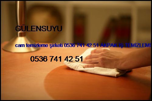  Gülensuyu Cam Temizleme Şirketi 0536 741 42 51 Akpak İş Temizleme Hizmetleri İstanbul Temizlik Şirketi Gülensuyu