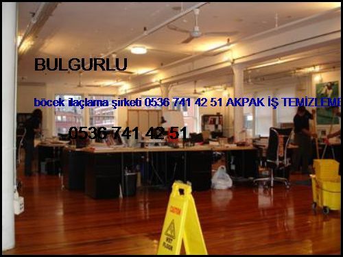  Bulgurlu Böcek İlaçlama Şirketi 0536 741 42 51 Akpak İş Temizleme Hizmetleri İstanbul Böcek İlaçlama Şirketi Bulgurlu