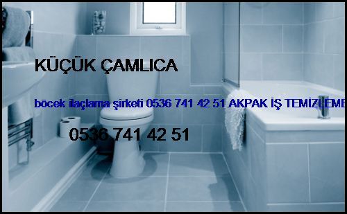  Küçük Çamlıca Böcek İlaçlama Şirketi 0536 741 42 51 Akpak İş Temizleme Hizmetleri İstanbul Böcek İlaçlama Şirketi Küçük Çamlıca