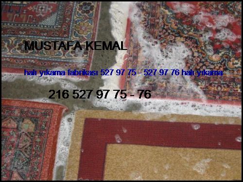  Mustafa Kemal Halı Yıkama Fabrikası 0216 660 14 57 - 551 11 14 Halı Yıkama Mustafa Kemal