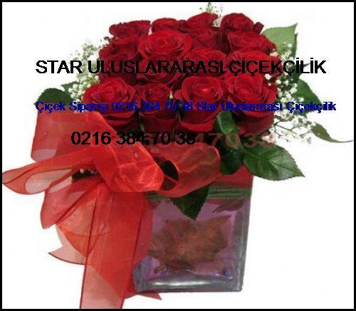  Sahil Çiçek Siparişi 0216 384 70 38 Star Uluslararası Çiçekçilik Sahil