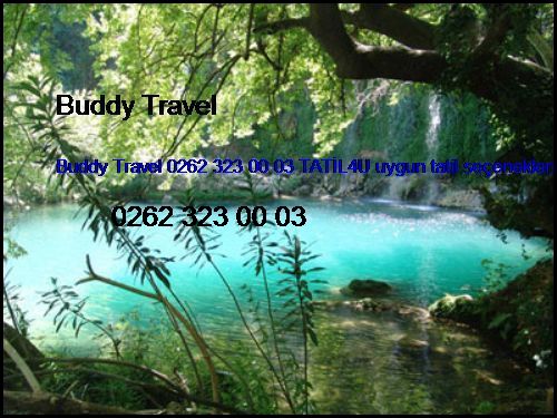  Ayvalık Tatil Köyleri Buddy Travel 0262 323 00 03 Tatil4u Uygun Tatil Seçenekleri Ayvalık Tatil Köyleri