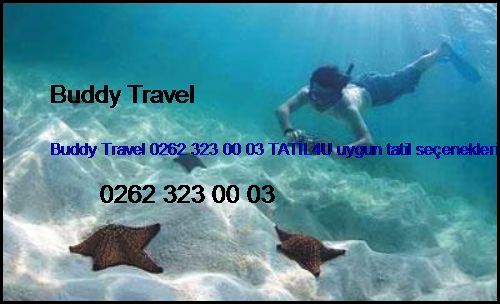  Bursa Otelleri Buddy Travel 0262 323 00 03 Tatil4u Uygun Tatil Seçenekleri Bursa Otelleri