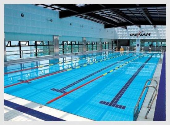  Olimpik Yüzme Havuzu Yapımı Havuz Malzemeleri Havuz Yapımı Maliyeti