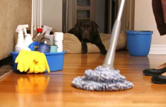 İshaklı  Ev Temizleme Şirketi, Tutku Temizlik Evleriniz Pırıl Pırıl Ev Temizlik Şirketleri  İshaklı