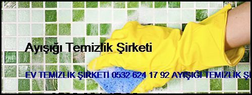  Poyrazköy Ev Temizlik Şirketi 0532 694 97 36 Ayışığı Temizlik Şirketi Poyrazköy