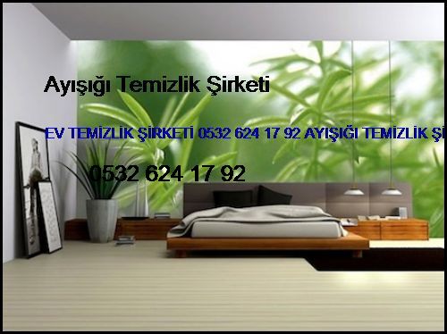 Fenerbahçe Ev Temizlik Şirketi 0532 694 97 36 Ayışığı Temizlik Şirketi Fenerbahçe