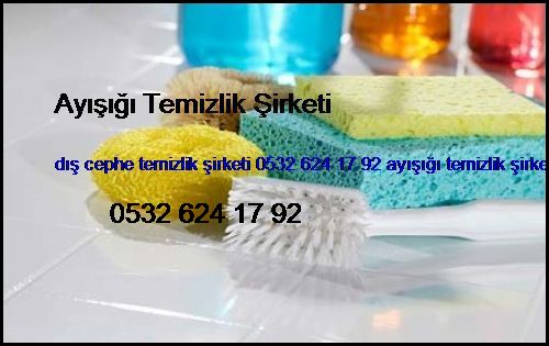  Fenerbahçe Dış Cephe Temizlik Şirketi 0532 694 97 36 Ayışığı Temizlik Şirketi Fenerbahçe