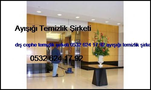  Paşaköy Dış Cephe Temizlik Şirketi 0532 694 97 36 Ayışığı Temizlik Şirketi Paşaköy