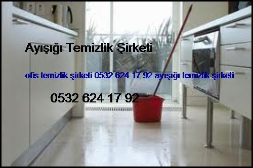  Paşaköy Ofis Temizlik Şirketi 0532 694 97 36 Ayışığı Temizlik Şirketi Paşaköy