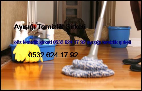  Alemdağ Ofis Temizlik Şirketi 0532 694 97 36 Ayışığı Temizlik Şirketi Alemdağ