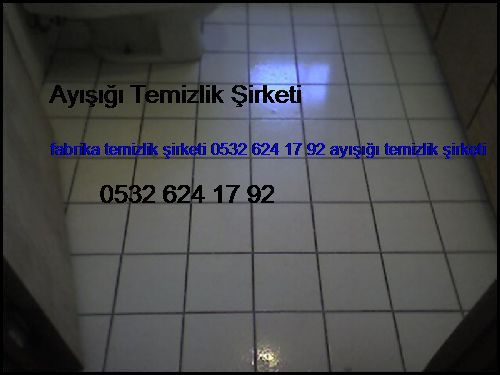  Paşaköy Fabrika Temizlik Şirketi 0532 694 97 36 Ayışığı Temizlik Şirketi Paşaköy
