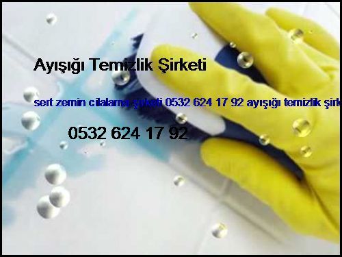  Küçükbakkalköy Sert Zemin Cilalama Şirketi 0532 694 97 36 Ayışığı Temizlik Şirketi Küçükbakkalköy